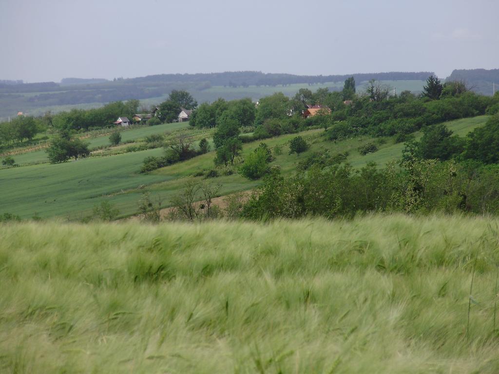 Nyugalomsziget Nyaralohaz Villa Zalaszentlaszlo Exterior photo